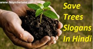 Top 25 Save Trees Slogans in Hindi पेड़ बचाओ स्लोगन