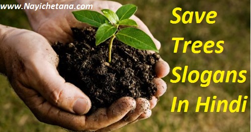 पेड़ बचाओ स्लोगन - Top 25 Save Trees Slogans in Hindi 