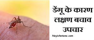 डेंगू के कारण लक्षण बचाव उपचार, Dengue Fever Symptoms Causes Treatment In Hindi, Dengue bhukhar ke laksahn,Dengu se bachav,Nayichetana.com, dengu ka ilaj