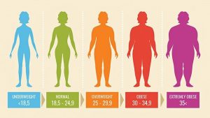 बॉडी मास इंडेक्स से वजन कम है या ज्यादा यह कैसे जाने, How To Check Your Body Mass Index In Hindi, BMI Calculator me weight kaise check kare