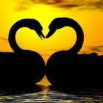 प्रेम पर संस्कृत श्लोक, sanskrit shlok on love with hindi meaning,प्यार में संस्कृत श्लोक, pyar par sanskrit shlok,sanskrit shlok on relation